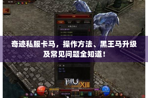 奇迹私服卡马，操作方法、黑王马升级及常见问题全知道！