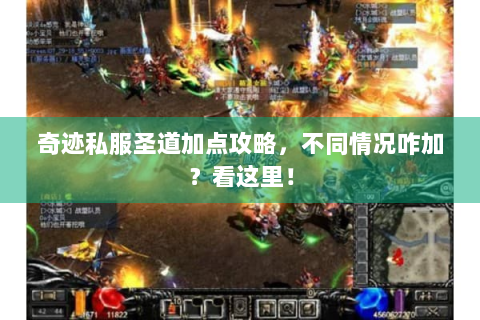 奇迹私服圣道加点攻略，不同情况咋加？看这里！