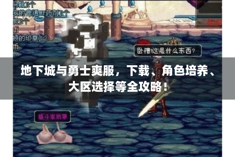 地下城与勇士爽服，下载、角色培养、大区选择等全攻略！