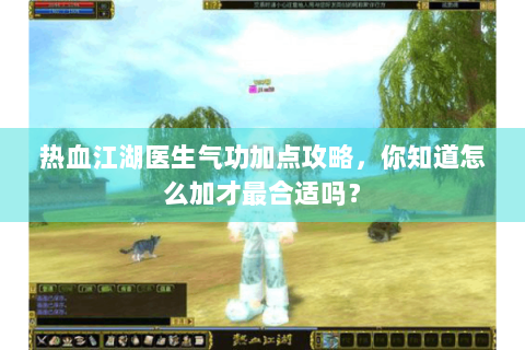 热血江湖医生气功加点攻略，你知道怎么加才最合适吗？