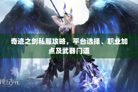 奇迹之剑私服攻略，平台选择、职业加点及武器门道
