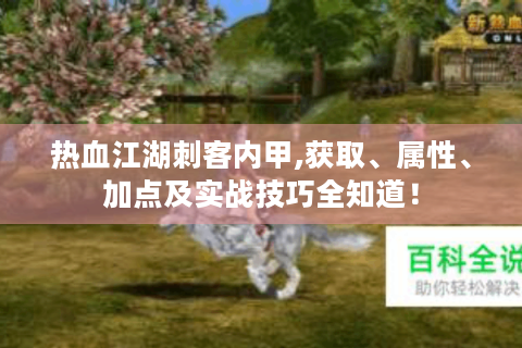 热血江湖刺客内甲,获取、属性、加点及实战技巧全知道！