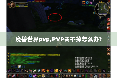 魔兽世界pvp,PVP关不掉怎么办?