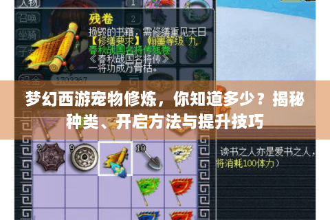 梦幻西游宠物修炼，你知道多少？揭秘种类、开启方法与提升技巧