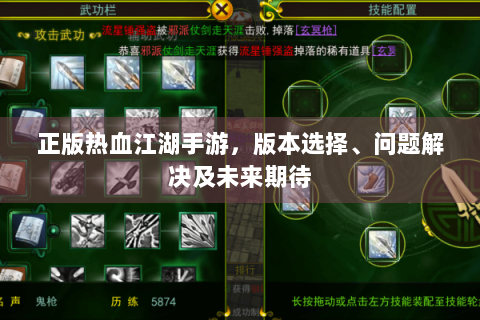 正版热血江湖手游，版本选择、问题解决及未来期待