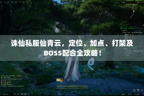 诛仙私服仙青云，定位、加点、打架及BOSS配合全攻略！