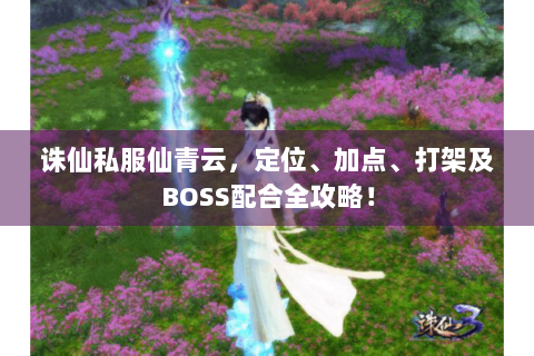 诛仙私服仙青云，定位、加点、打架及BOSS配合全攻略！