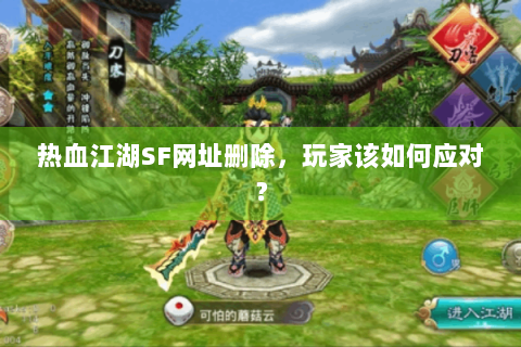 热血江湖SF网址删除，玩家该如何应对？