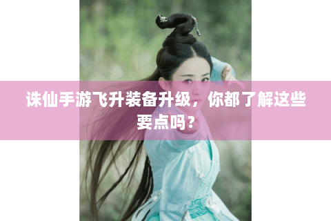 诛仙手游飞升装备升级，你都了解这些要点吗？