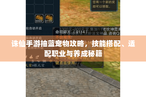 诛仙手游抽蓝宠物攻略，技能搭配、适配职业与养成秘籍