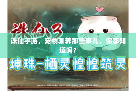 诛仙手游，宠物驯养那些事儿，你都知道吗？