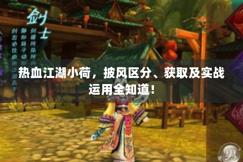 热血江湖小荷，披风区分、获取及实战运用全知道！