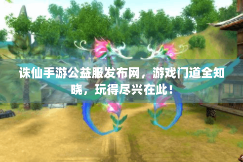 诛仙手游公益服发布网，游戏门道全知晓，玩得尽兴在此！