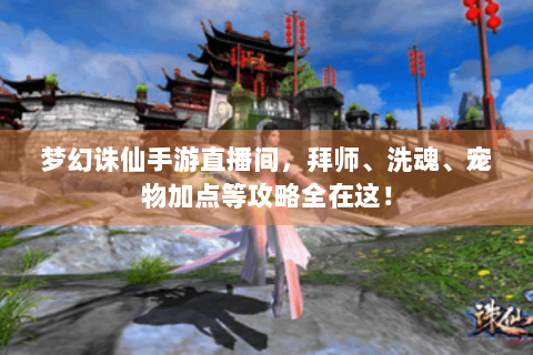 梦幻诛仙手游直播间，拜师、洗魂、宠物加点等攻略全在这！