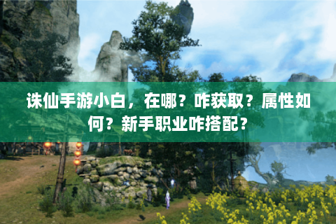 诛仙手游小白，在哪？咋获取？属性如何？新手职业咋搭配？