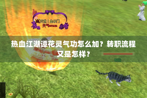 热血江湖谭花灵气功怎么加？转职流程又是怎样？