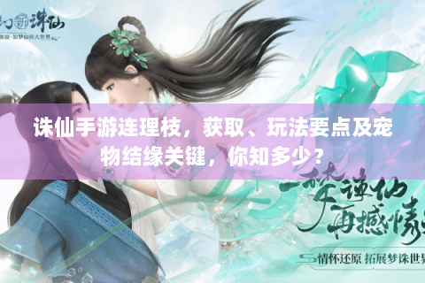 诛仙手游连理枝，获取、玩法要点及宠物结缘关键，你知多少？