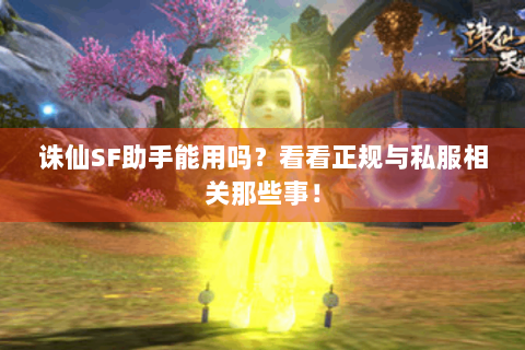 诛仙SF助手能用吗？看看正规与私服相关那些事！