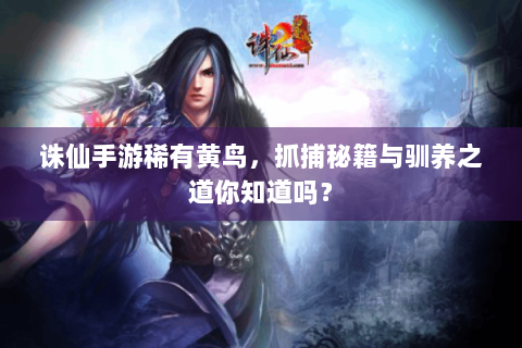 诛仙手游稀有黄鸟，抓捕秘籍与驯养之道你知道吗？