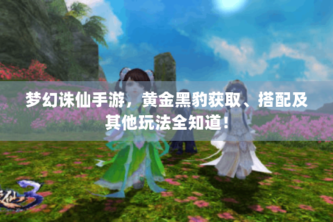 梦幻诛仙手游，黄金黑豹获取、搭配及其他玩法全知道！