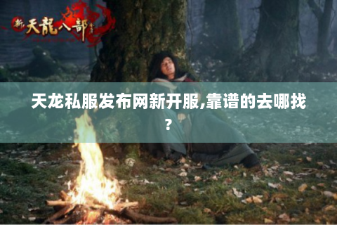 天龙私服发布网新开服,靠谱的去哪找?