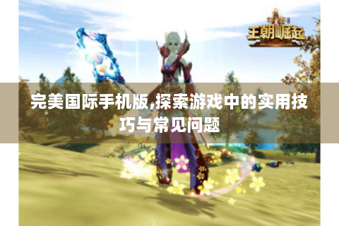 完美国际手机版,探索游戏中的实用技巧与常见问题