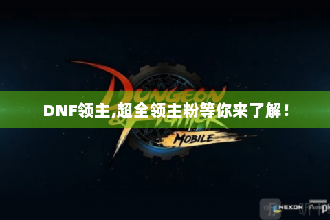 DNF领主,超全领主粉等你来了解！