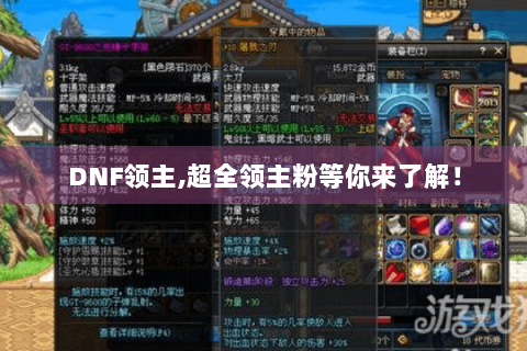 DNF领主,超全领主粉等你来了解！