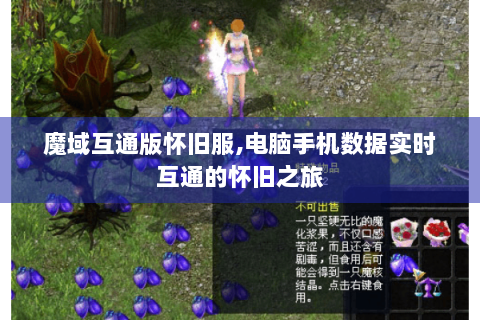 魔域互通版怀旧服,电脑手机数据实时互通的怀旧之旅