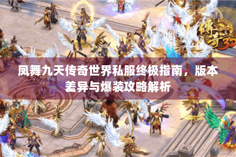 凤舞九天传奇世界私服终极指南，版本差异与爆装攻略解析