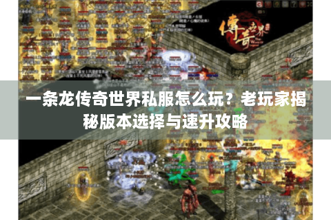 一条龙传奇世界私服怎么玩？老玩家揭秘版本选择与速升攻略