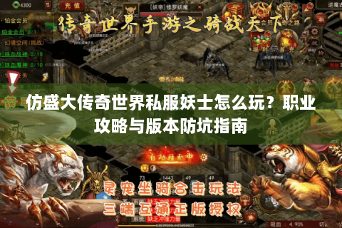 仿盛大传奇世界私服妖士怎么玩？职业攻略与版本防坑指南