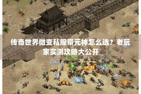 传奇世界微变私服带元神怎么选？老玩家实测攻略大公开