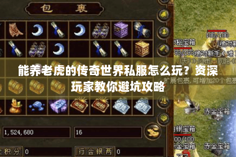 能养老虎的传奇世界私服怎么玩？资深玩家教你避坑攻略