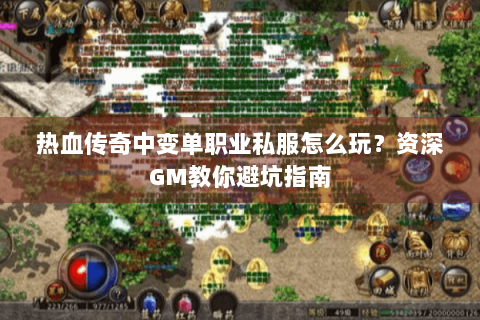 热血传奇中变单职业私服怎么玩？资深GM教你避坑指南