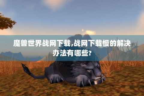魔兽世界战网下载,战网下载慢的解决办法有哪些?