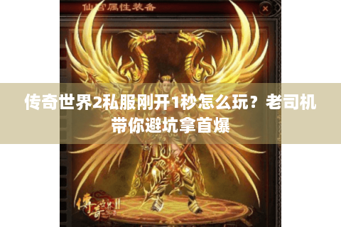传奇世界2私服刚开1秒怎么玩？老司机带你避坑拿首爆