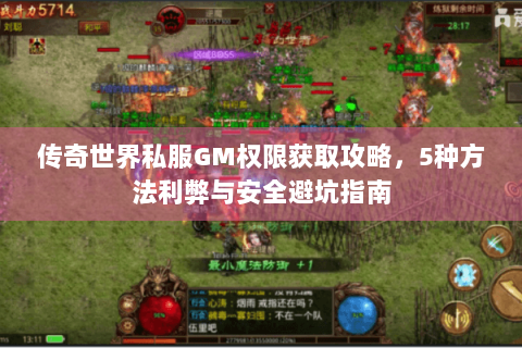 传奇世界私服GM权限获取攻略，5种方法利弊与安全避坑指南