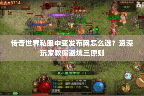 传奇世界私服中变发布网怎么选？资深玩家教你避坑三原则