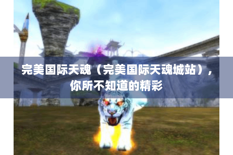 完美国际天魂（完美国际天魂城站）,你所不知道的精彩