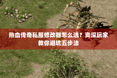 热血传奇私服修改器怎么选？资深玩家教你避坑五步法