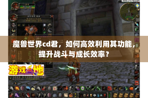 魔兽世界cd君，如何高效利用其功能，提升战斗与成长效率？