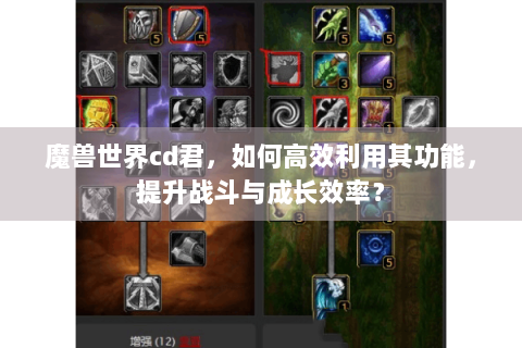 魔兽世界cd君，如何高效利用其功能，提升战斗与成长效率？