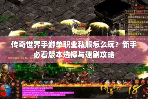 传奇世界手游单职业私服怎么玩？新手必看版本选择与速刷攻略