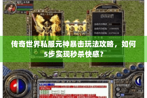 传奇世界私服元神暴击玩法攻略，如何5步实现秒杀快感？