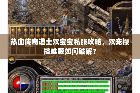 热血传奇道士双宝宝私服攻略，双宠操控难题如何破解？