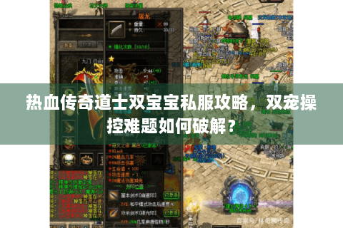 热血传奇道士双宝宝私服攻略，双宠操控难题如何破解？