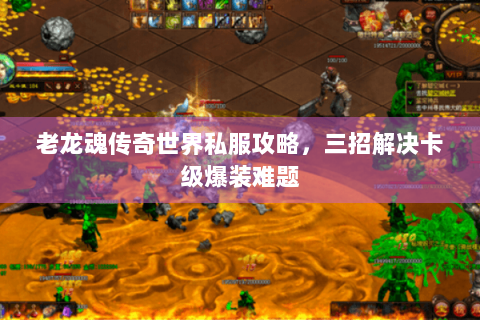老龙魂传奇世界私服攻略，三招解决卡级爆装难题