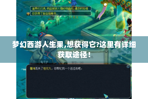 梦幻西游人生果,想获得它?这里有详细获取途径！