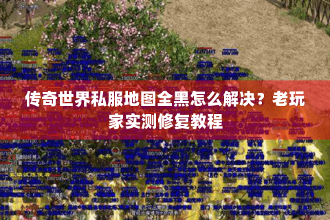 传奇世界私服地图全黑怎么解决？老玩家实测修复教程